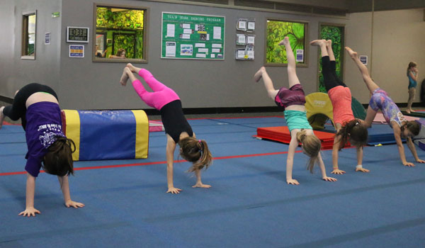 childrens gym class gym dandies