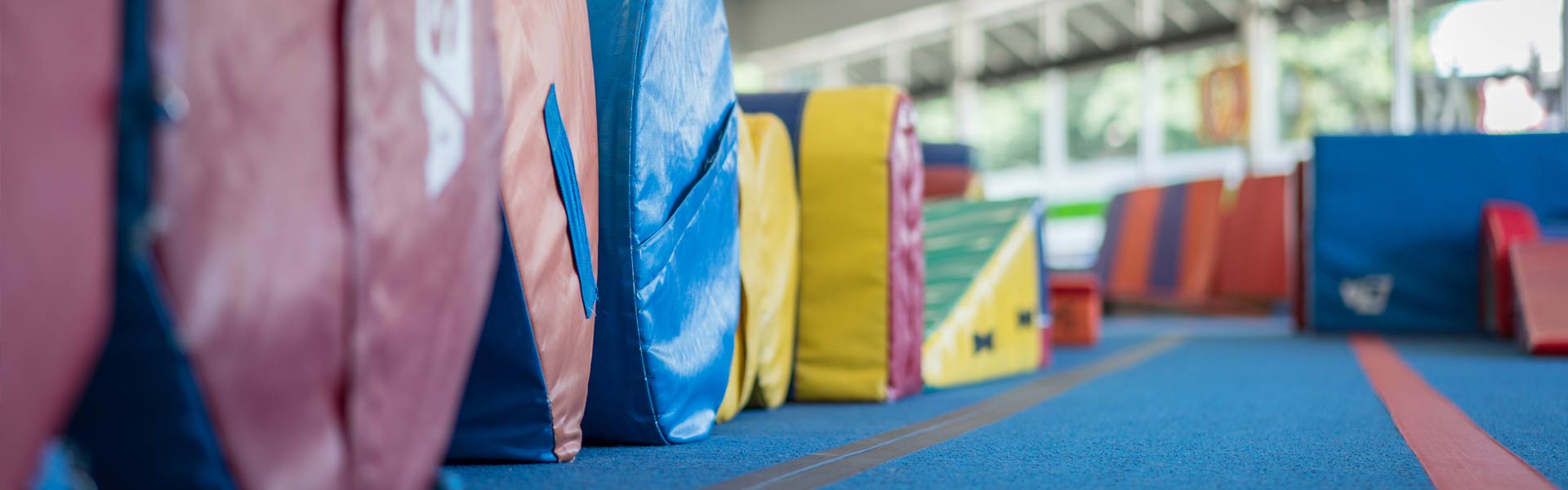 Gymnastics Facility in Portland, Oregon The Children's Gym