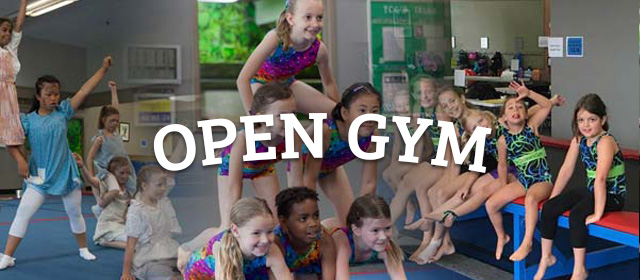 childrens-gym-web-home-OPEN GYM after school program